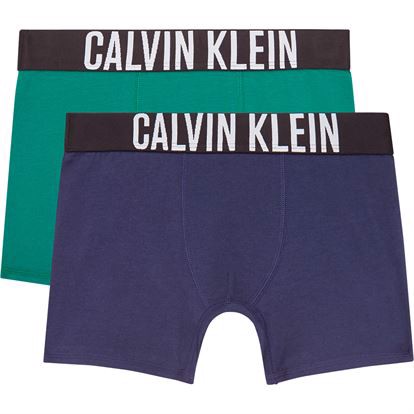 Calvin Klein 2PK Briefs Boxershorts