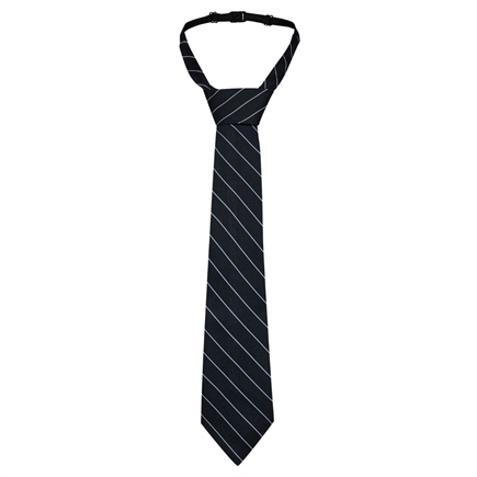 Haute L´amitié Navy Pin Tie Slips 
