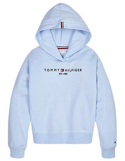 Tommy Hilfiger Essential Hooded Sweatshirt - Calm Blue | Coaststore