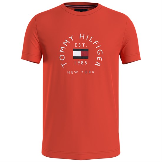 Tommy Hilfiger Flag Arch T-shirt