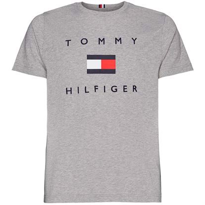 Tommy Hilfiger Tommy Flag Hilfiger T-shirt